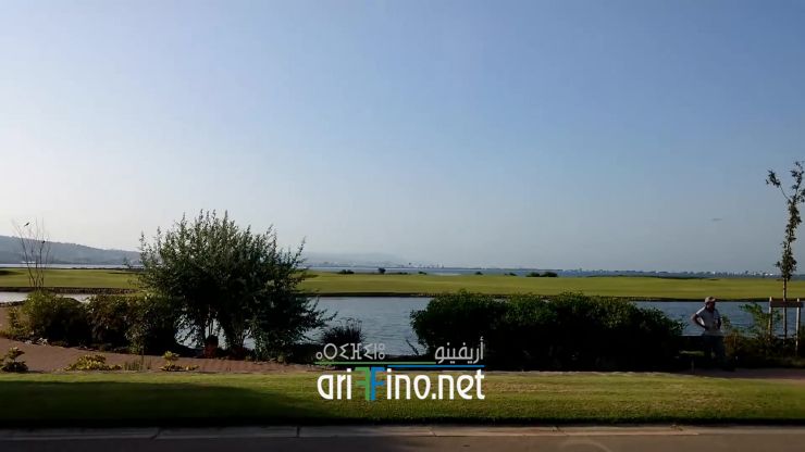 nador1019