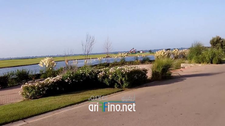 nador1020