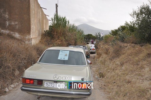 nador2038