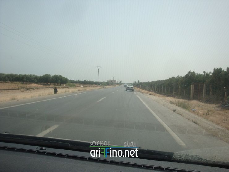 nador206