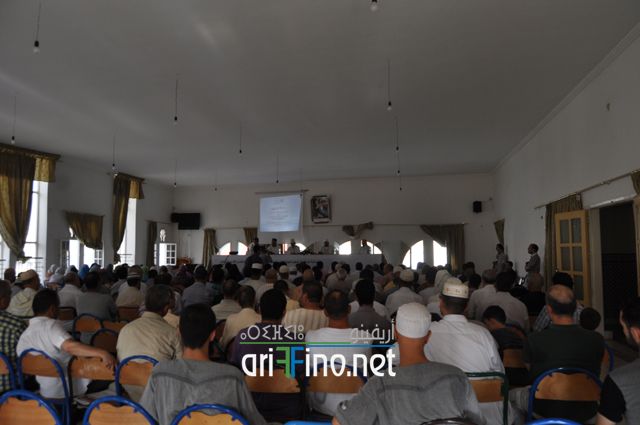 nador241