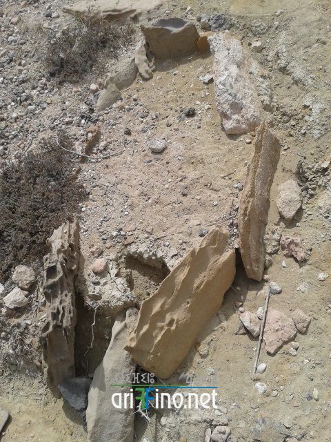 nador284