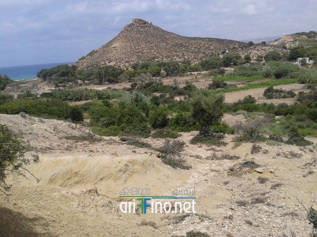 nador285