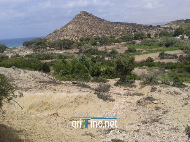 nador286