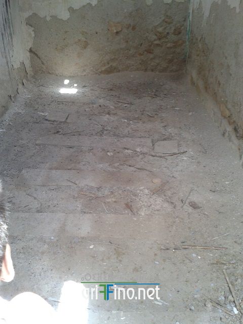 nador289