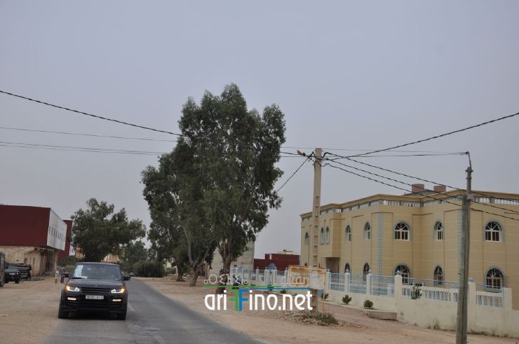 nador290