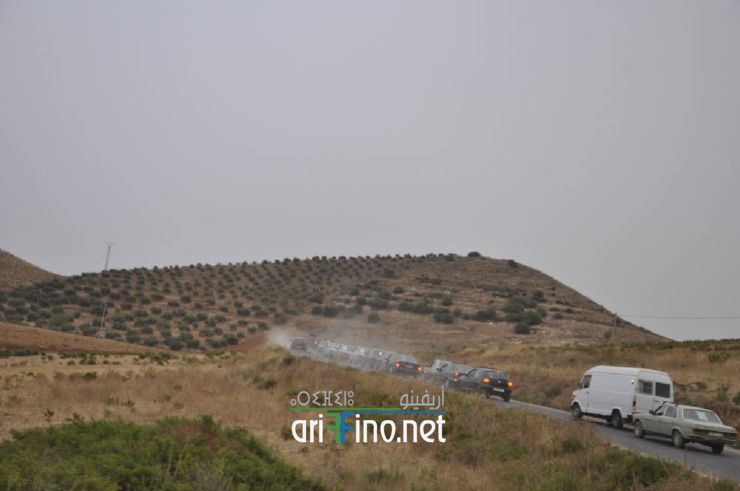 nador291