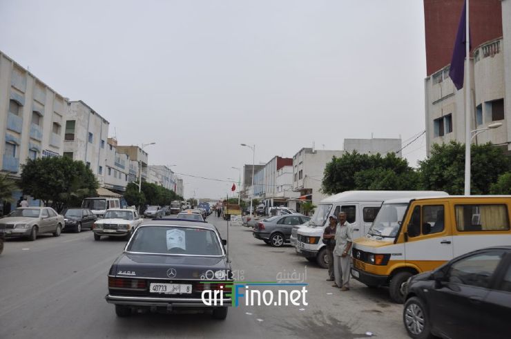 nador295