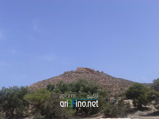 nador305