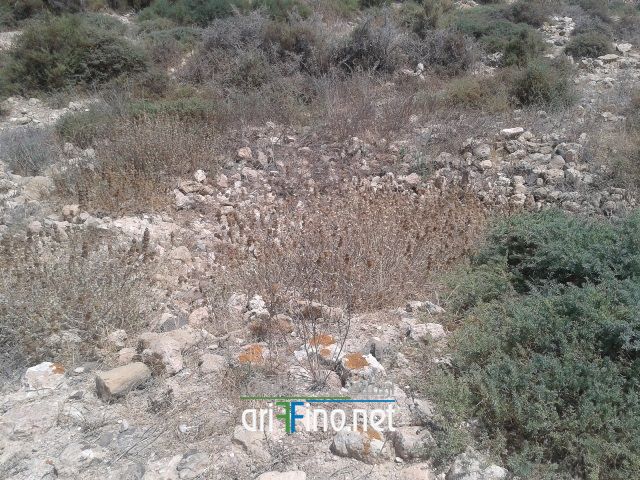 nador307
