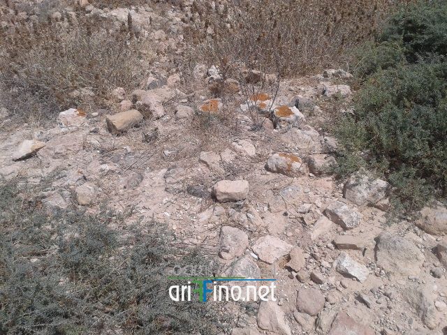 nador308