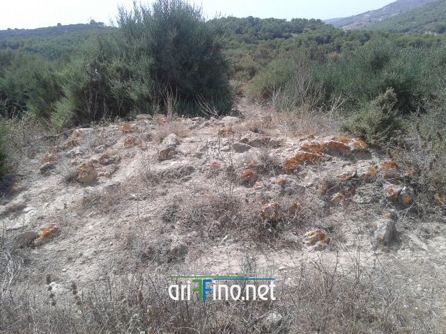 nador311