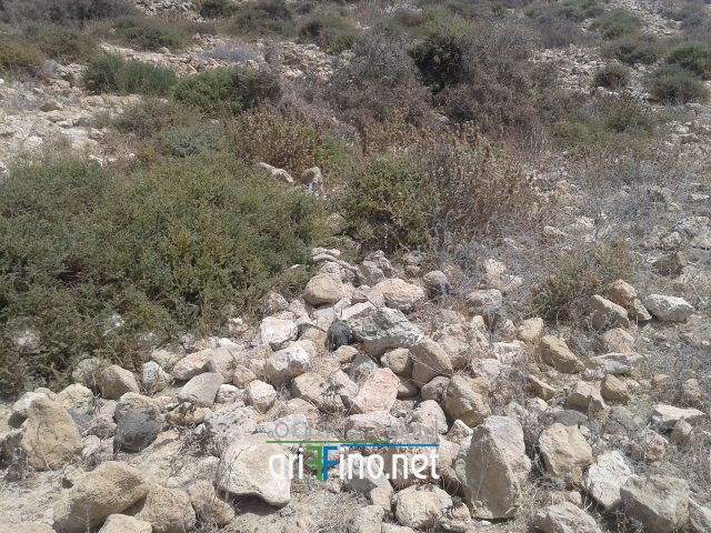 nador314