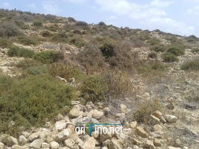 nador315