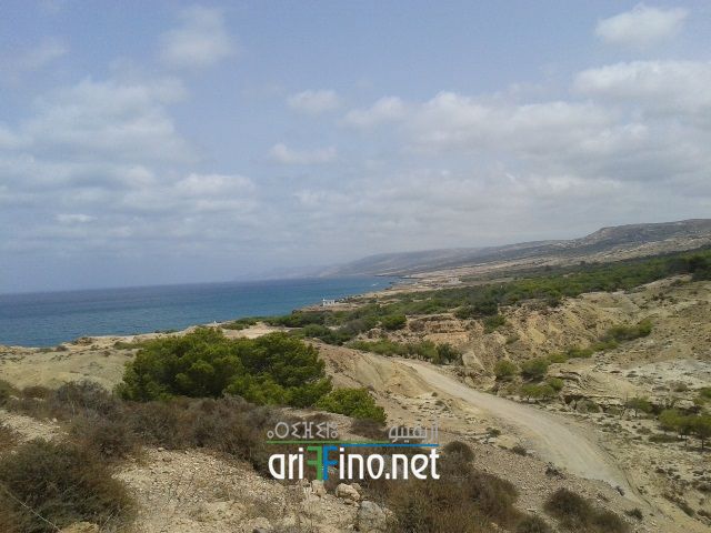 nador321