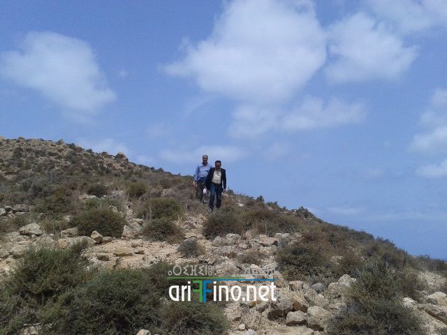 nador322