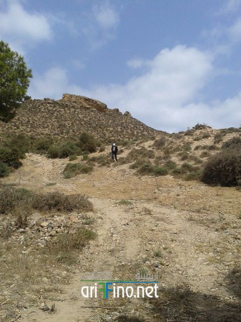 nador327