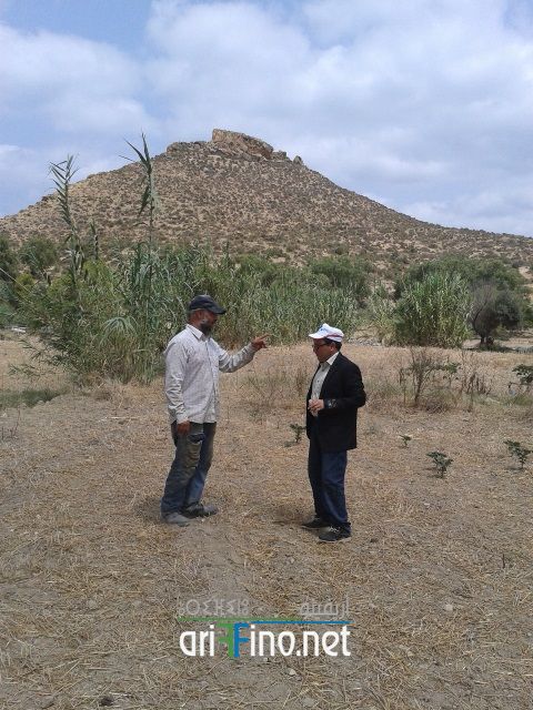 nador330