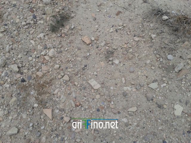 nador333
