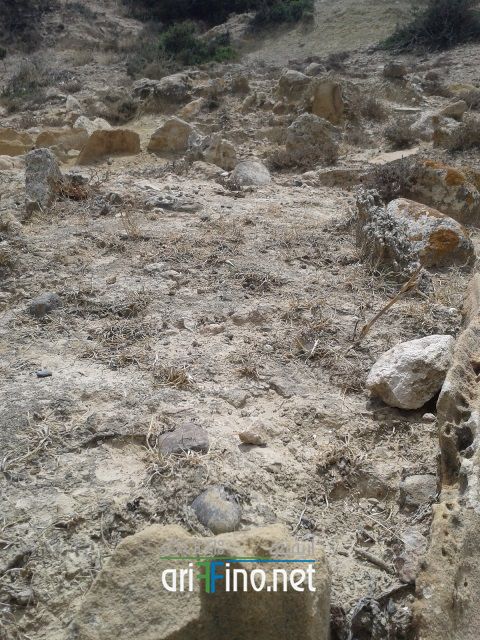 nador341