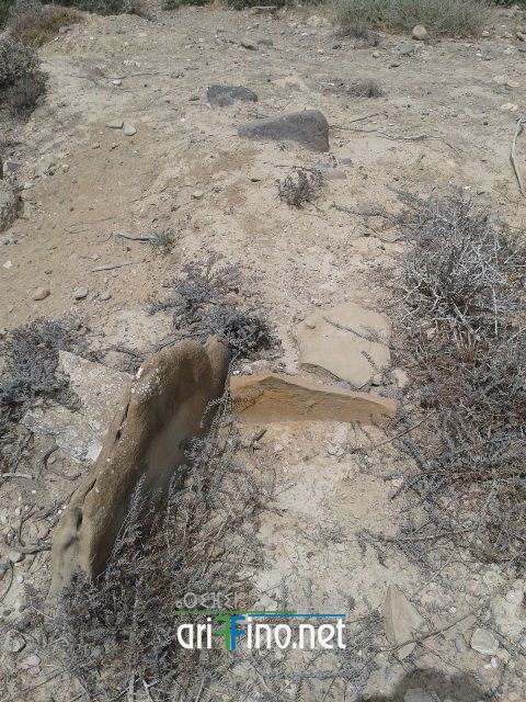 nador342