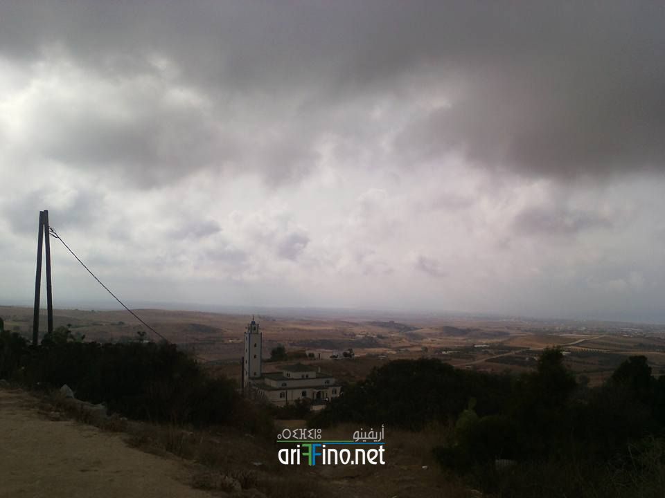 nador361