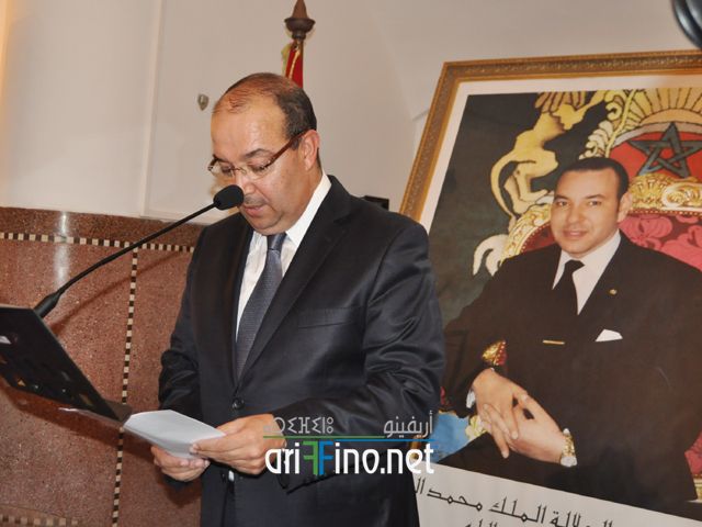 nador377