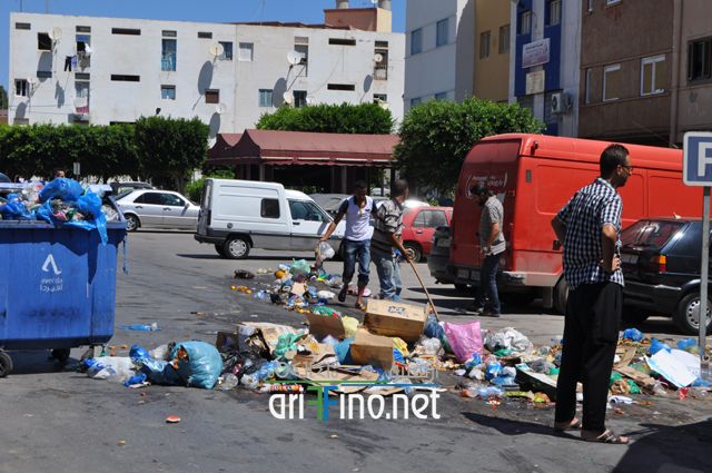 nador377