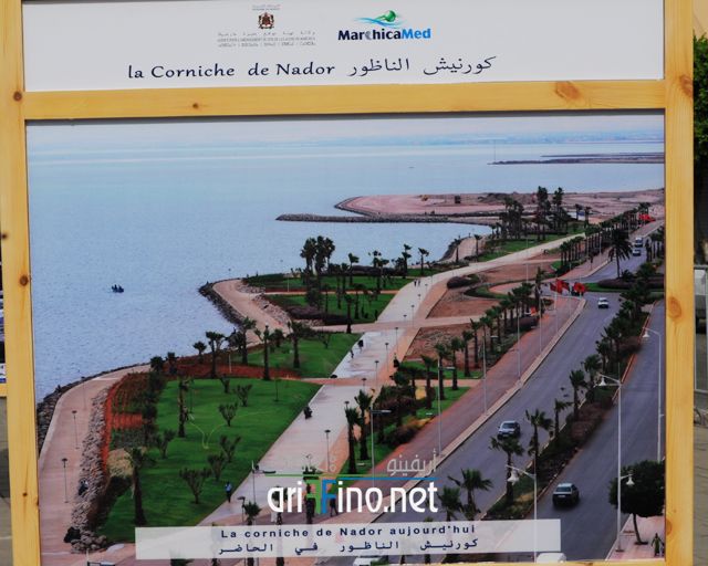 nador384