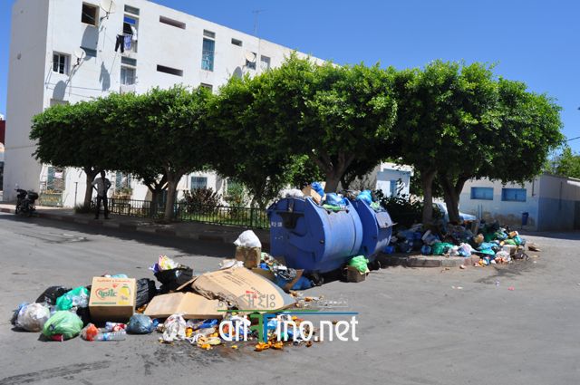nador384