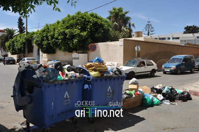 nador386