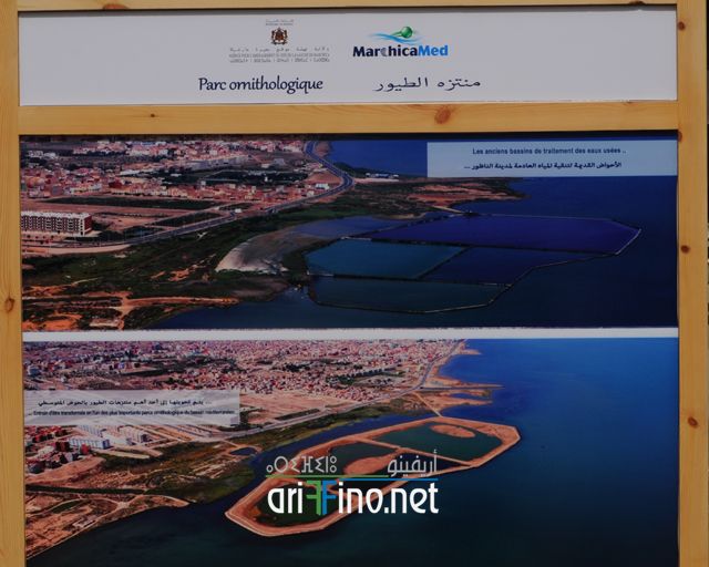 nador387