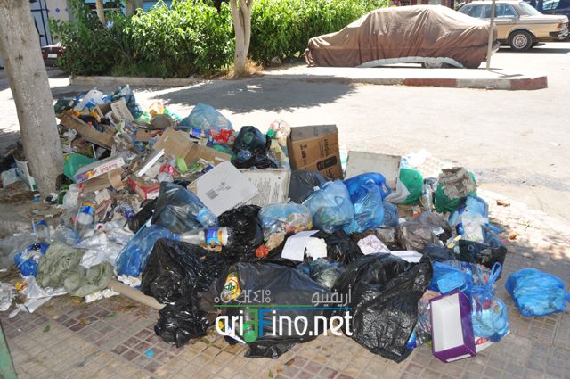 nador387
