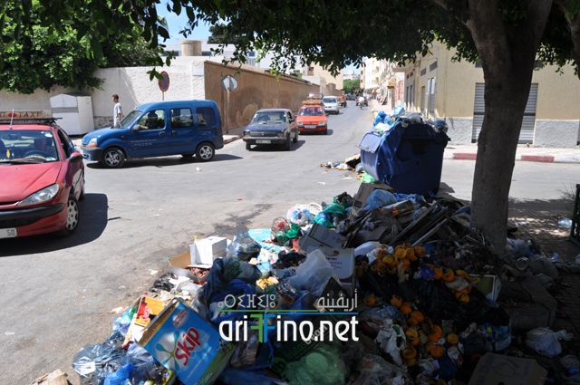 nador388