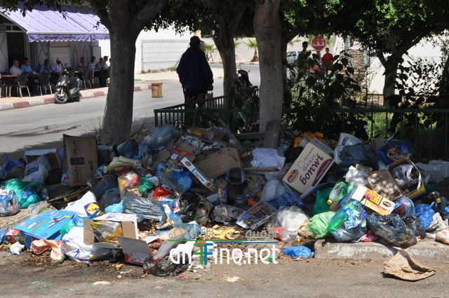 nador391