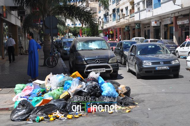 nador393
