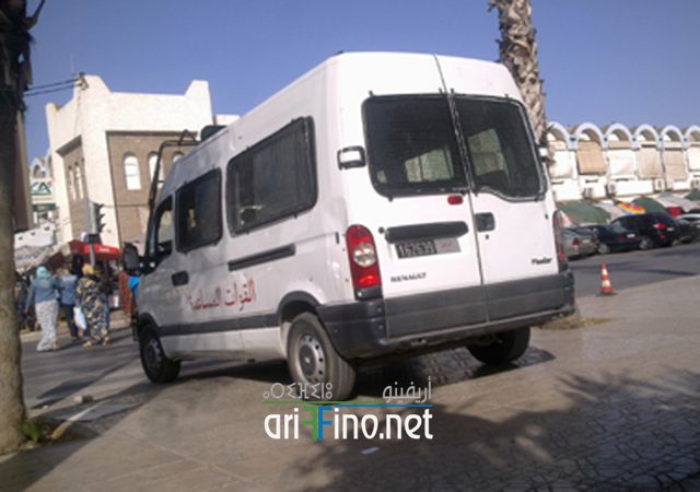 nador397