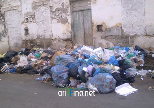 nador403