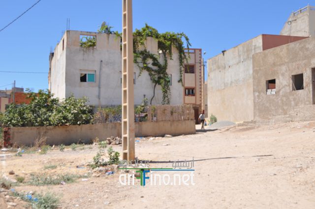 nador664