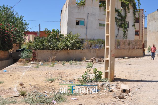nador668