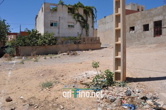 nador669