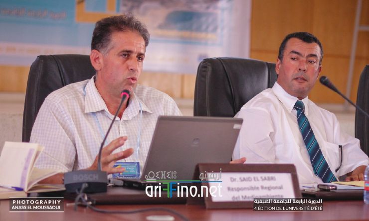 nador691