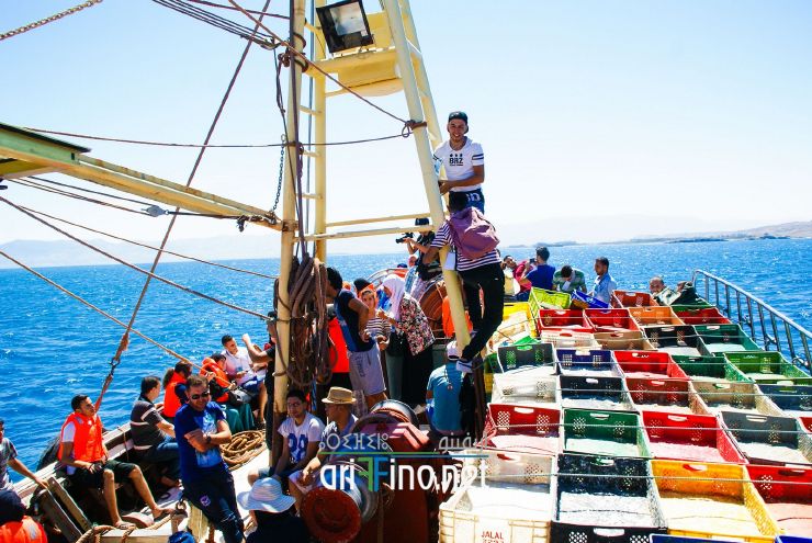 nador805