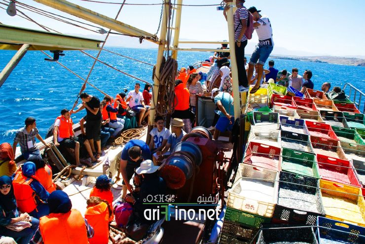 nador806