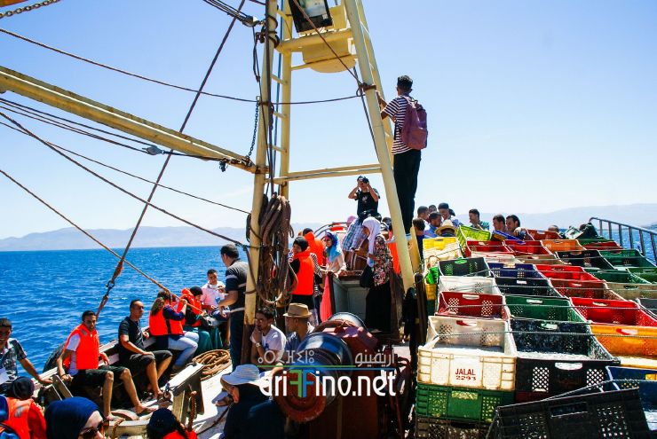 nador809