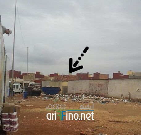 nador944
