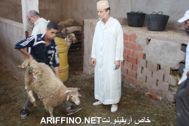 nador2246