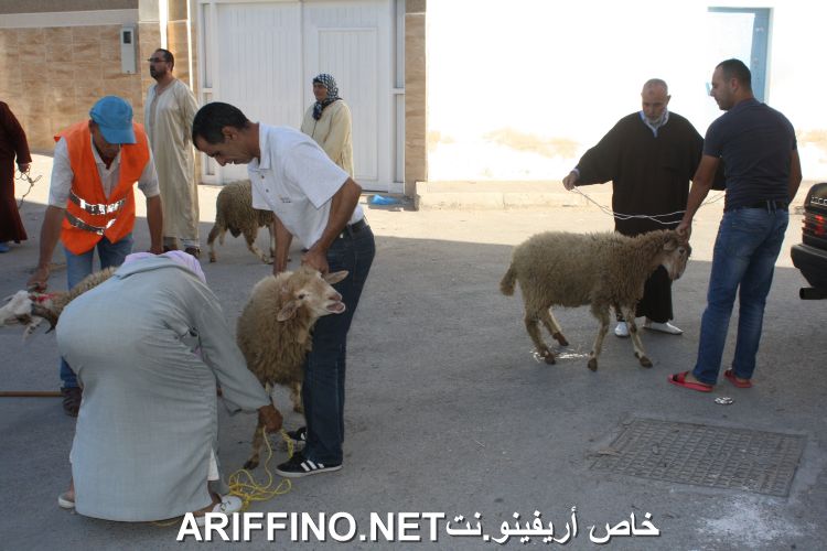 nador2248