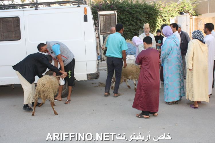 nador2253