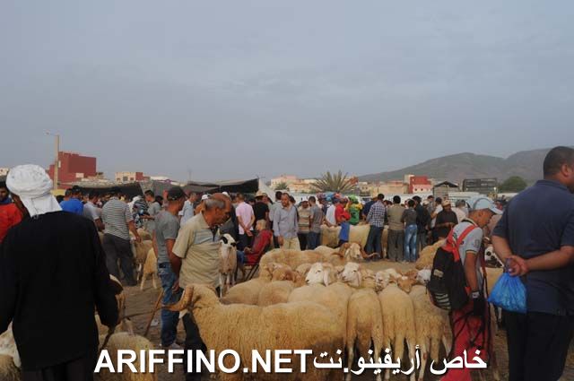nador2320